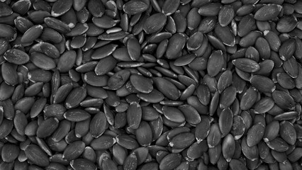 A close-up of black seeds. The seeds are small and black. They are scattered throughout the image as a textured background for the web banner page template design.