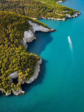 Vertical aerial view of the coastal area of Gargano peninsula with caves and cliffs. Beautiful white rocks above the turquoise Adriatic Sea.