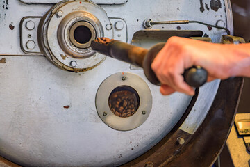 Coffee roaster checks fresh beans with a sampling probe in Zurich, Switzerland