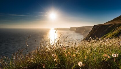 Grass Flowers On Cliffside Sun Shining Over Ocean