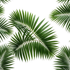 Obraz premium Green palm fronds on a black background, creating a tropical seamless pattern