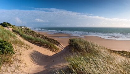 Coastal Dunes With Exposed Sand And Vegetation