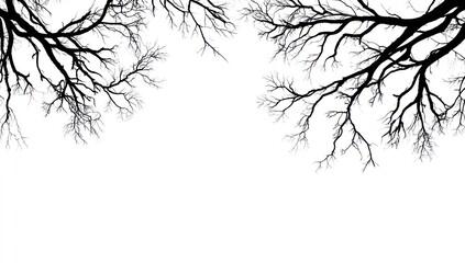 Obraz premium Two intricate silhouettes of bare tree branches against a stark white background, showcasing the delicate structure and reaching form of the branches.