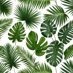 Lush green tropical leaves, varied shapes, floating over black © Zoo