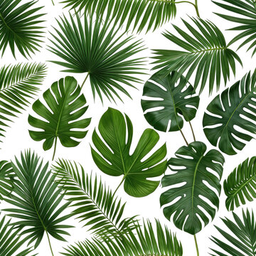 Lush green tropical leaves, varied shapes, floating over black