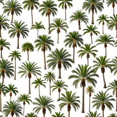 Dense arrangement of numerous palm trees on a black background