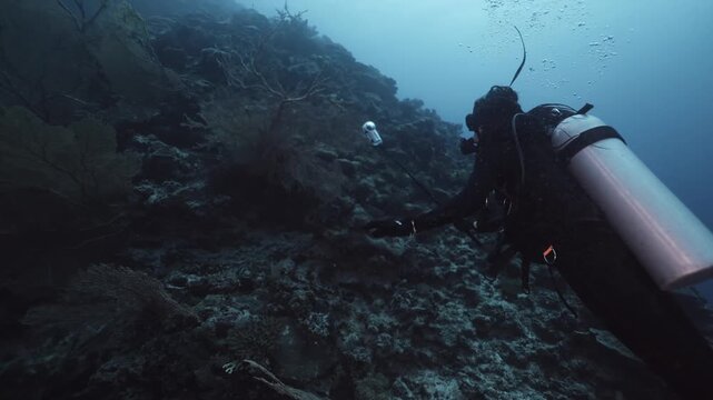 A female diver explores the vibrant coral reef on the ocean floor, surrounded by marine life as bubbles rise gracefully to the surface, capturing the wonder of underwater adventure.