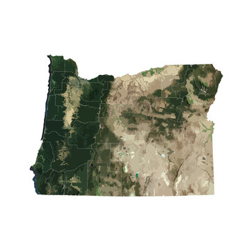Oregon Map Vector &ndash; Realistic Landsat Satellite Style Illustration