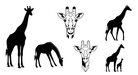 A collection of black and white giraffe illustrations, including full-body silhouettes and detailed head portraits.
