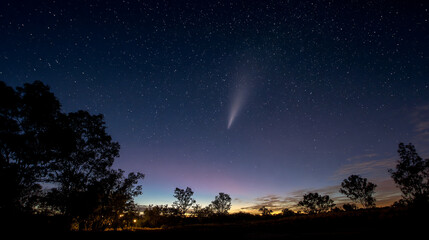 Naklejka premium comet streak across starry night sky above silhouette trees