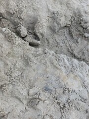 Wet Sand Texture on Beach Surface