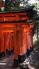 Torii landamark in japan