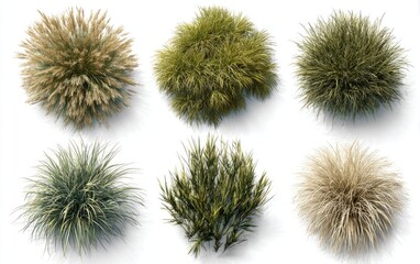 Six top-down views of various types of grasses and foliage,  showing different textures and colors