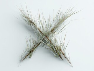 Obraz premium A stylized X formed by interwoven grass blades