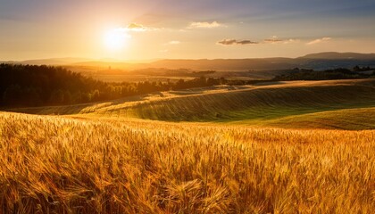 Obraz premium Golden Wheat Fields At Sunset A Serene Landscape Of Rolling Hills And Warm Light