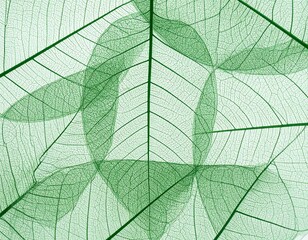 Intricate green leaf veins