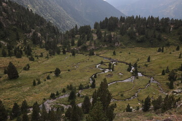 Discover the serene beauty of a mountain stream winding through lush meadows and forests, perfect...