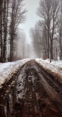 Obraz premium Foggy, muddy winter road through trees