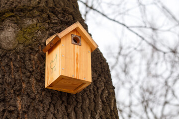 Wooden birdhouse on tree trunk in winter park, handmade nesting box for birds