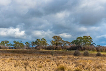Rural landscapes in Winter with clouds and countryside