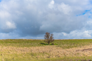 Rural landscapes in Winter with clouds and countryside