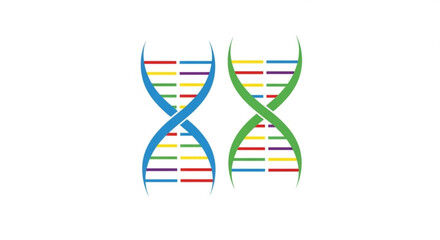 Illustration of two dna double helix structures with colorful segments on a white background design element