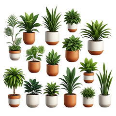 Obraz premium Collection of assorted green potted plants on black background