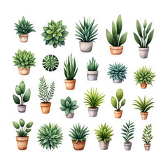 Fototapeta premium Watercolor houseplant sticker set with various greenery and pots