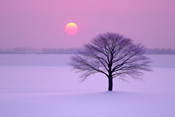 Solitary tree in snow-covered landscape at sunset