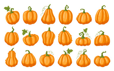 Halloween pumpkins. Cartoon fall harvest gourds, pumpkins with leaves flat vector illustration set. Autumn thanksgiving and halloween pumpkins collection on white