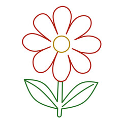 red flower isolated on white background