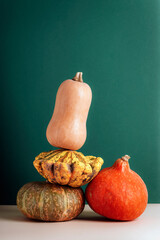 Assorted pumpkins stacked together on green background. Autumn harvest still life. Closeup