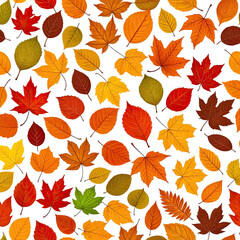 Obraz premium Assortment of autumn leaves, vibrant fall colors, against black background
