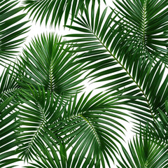 Dense green palm leaves with detailed texture, forming a natural pattern