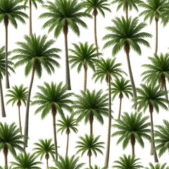 Dense tropical forest with many green palm trees against black background