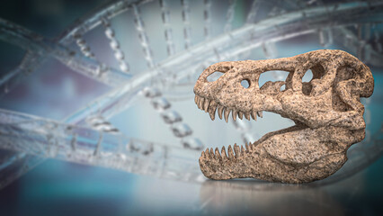 The T rex Skull for Education Or sci concept 3d Rendering.