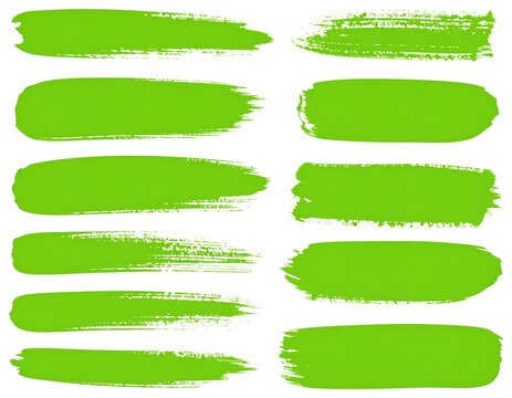 Green paintbrush strokes on white - Powered by Adobe