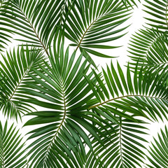 Fototapeta premium Green palm fronds on black background, vibrant leaf pattern