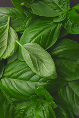 flatlay of fresh basil leaves on a dark background