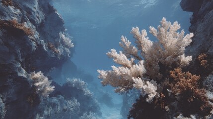 Underwater coral reef scene with marine life and stunning light and depth visuals