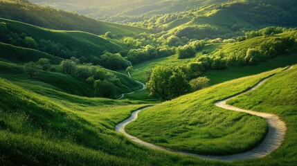 A winding road in a green field