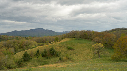 Lush rolling hills stretch across the landscape, with a backdrop of distant mountains. The scene captures the beauty of nature just as spring begins to bloom. Grandfather Mountain, North Carolina