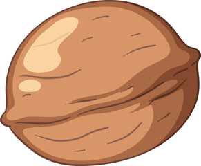 vector illustration of walnut with shell