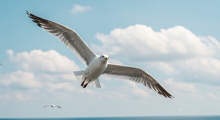 Obraz premium Seagull soaring gracefully across a bright blue sky with fluffy white clouds
