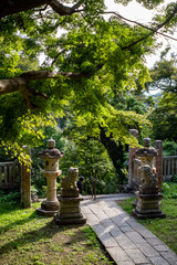 鎌倉25923　建長寺8　緑もみじ