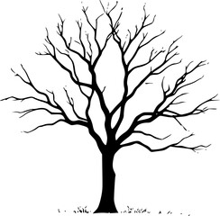 Obraz premium Dead tree silhouette outline graphic