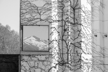 Arishima Memorial Museum, monochrome sketch
