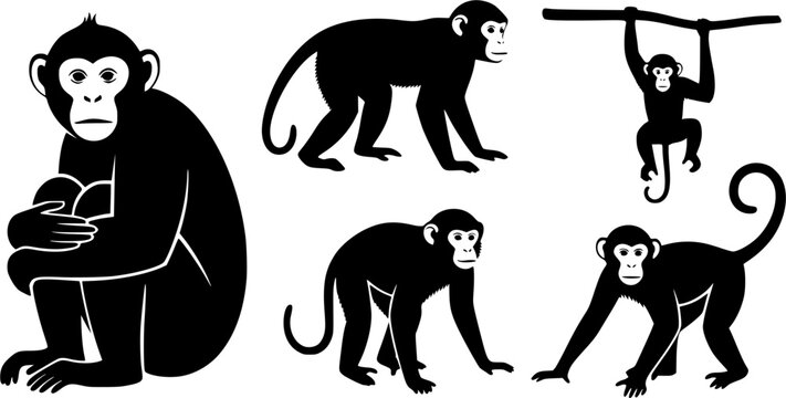 Monkey silhouettes, Monkey silhouette collection, Sitting monkey silhouette, Monkey, Monkey clipart, Monkey vector illustration