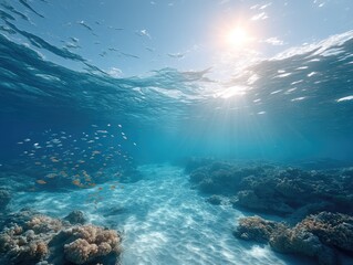 Fototapeta premium Underwater Scene Of Sunlight Filtering Through Ocean Water And Coral Reefs