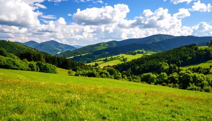 Fototapeta premium Lush mountain meadow under a partly cloudy sky